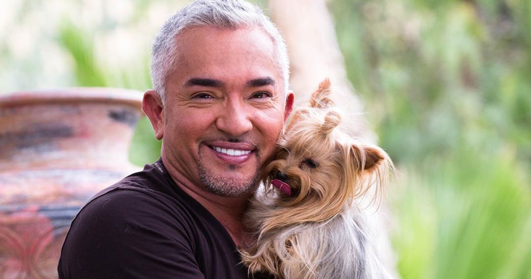 Cesar who to is millan married Cesar Milan’s