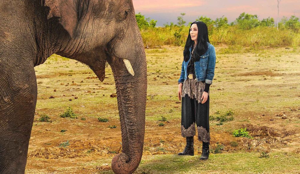 Cher with animal